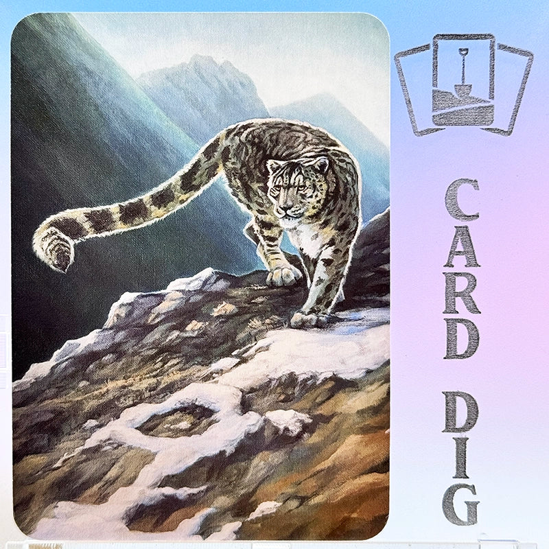 Snow Leopard - Foil (β Ord)