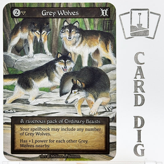 Grey Wolves (β Ord)