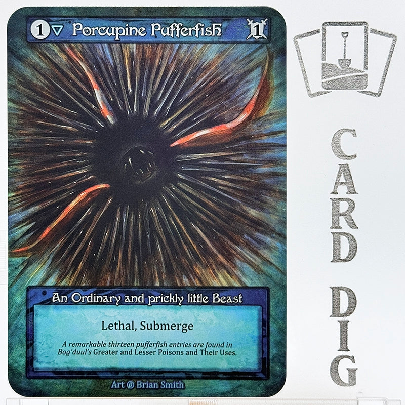 Porcupine Pufferfish (β Ord)