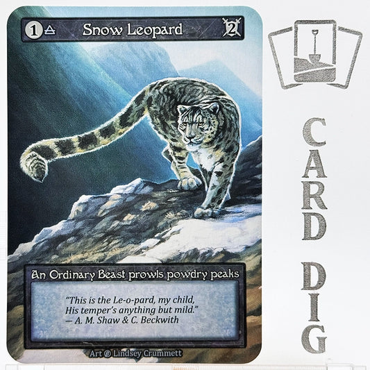 Snow Leopard (β Ord)