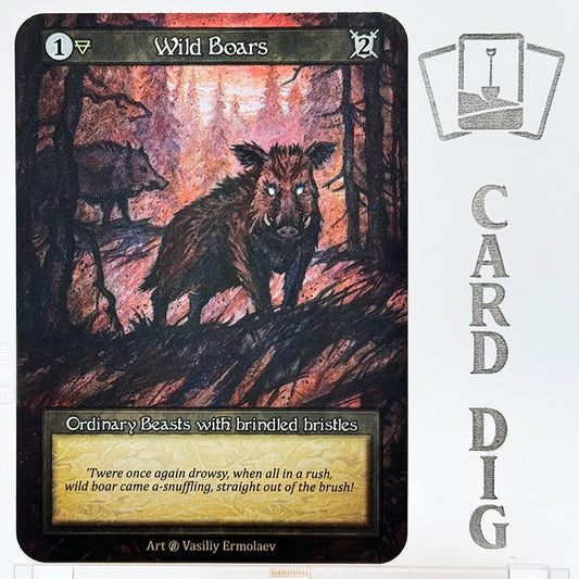 Wild Boars (β Ord)