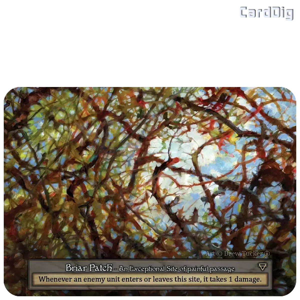 Briar Patch (AL Exc)