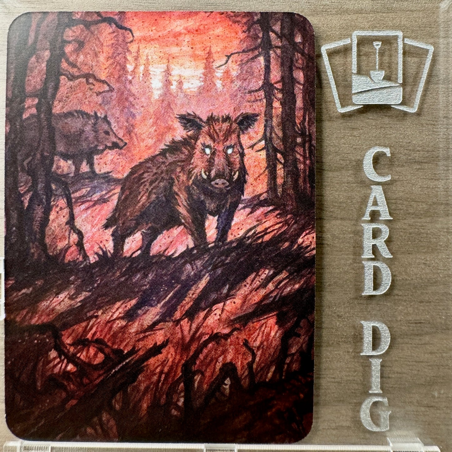 Wild Boars - Foil (α Ord)