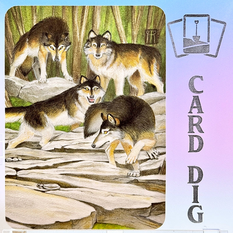 Grey Wolves - Foil (β Ord)