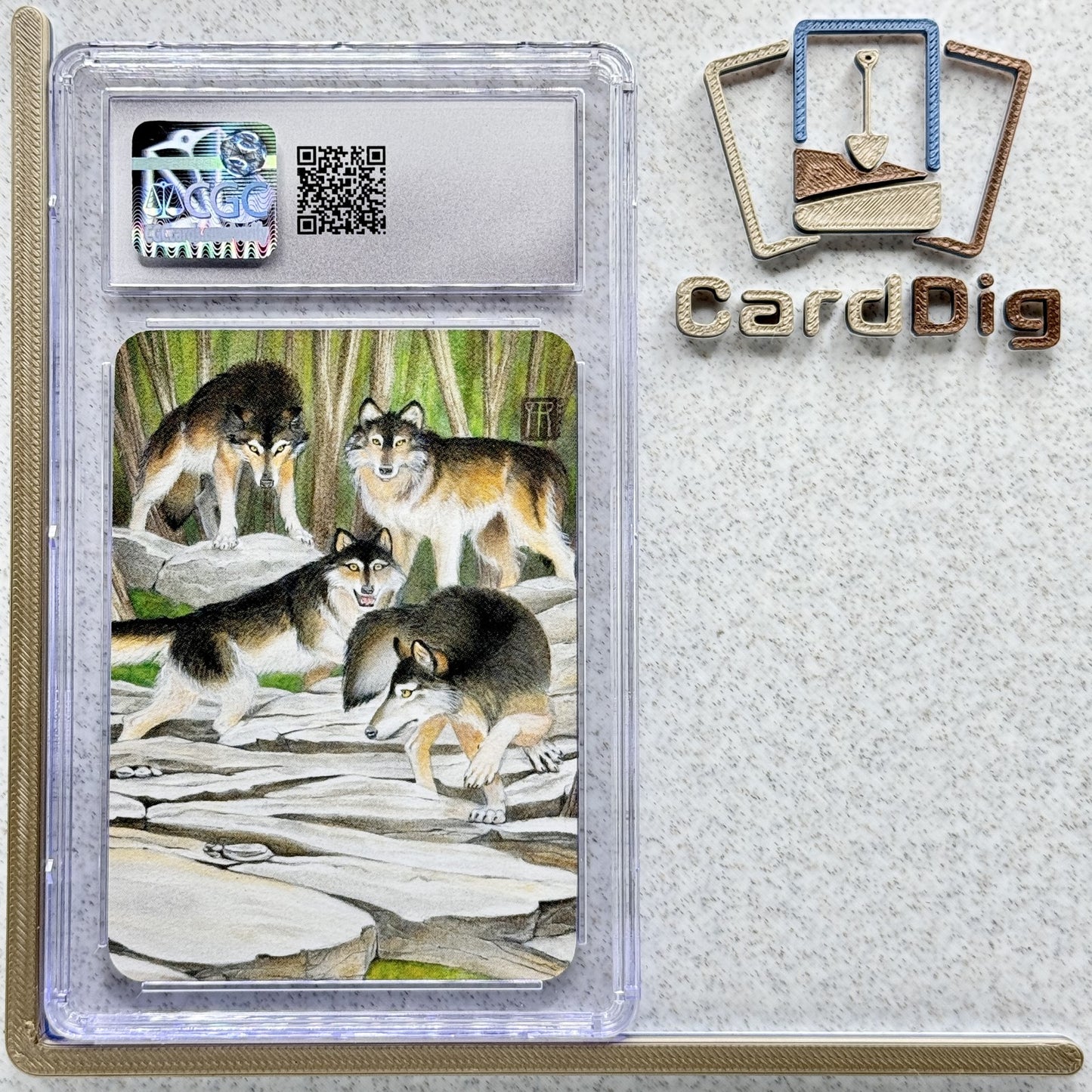 Grey Wolves  - Foil Graded (α Ord)