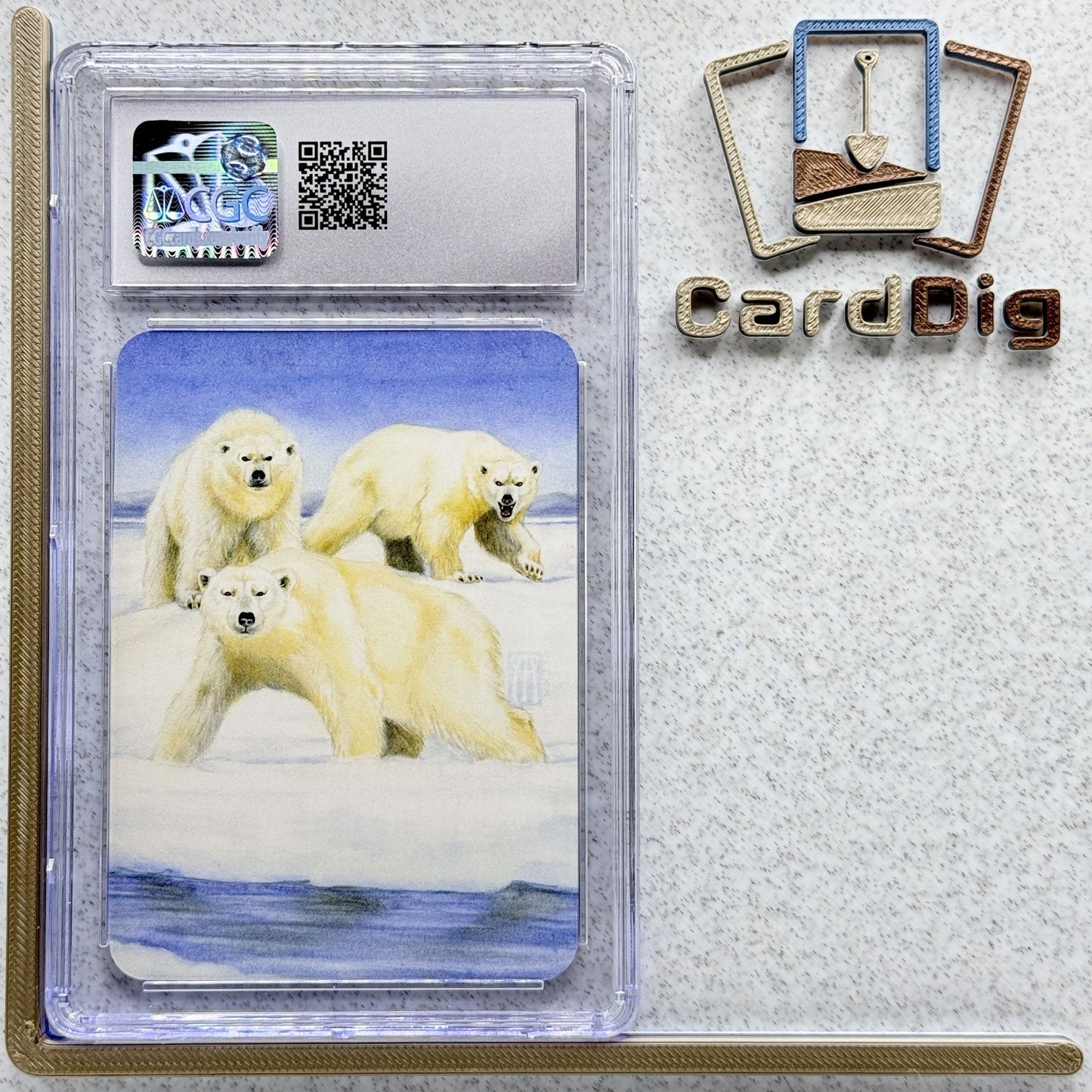 Polar Bears  - Foil Graded (α Ord)