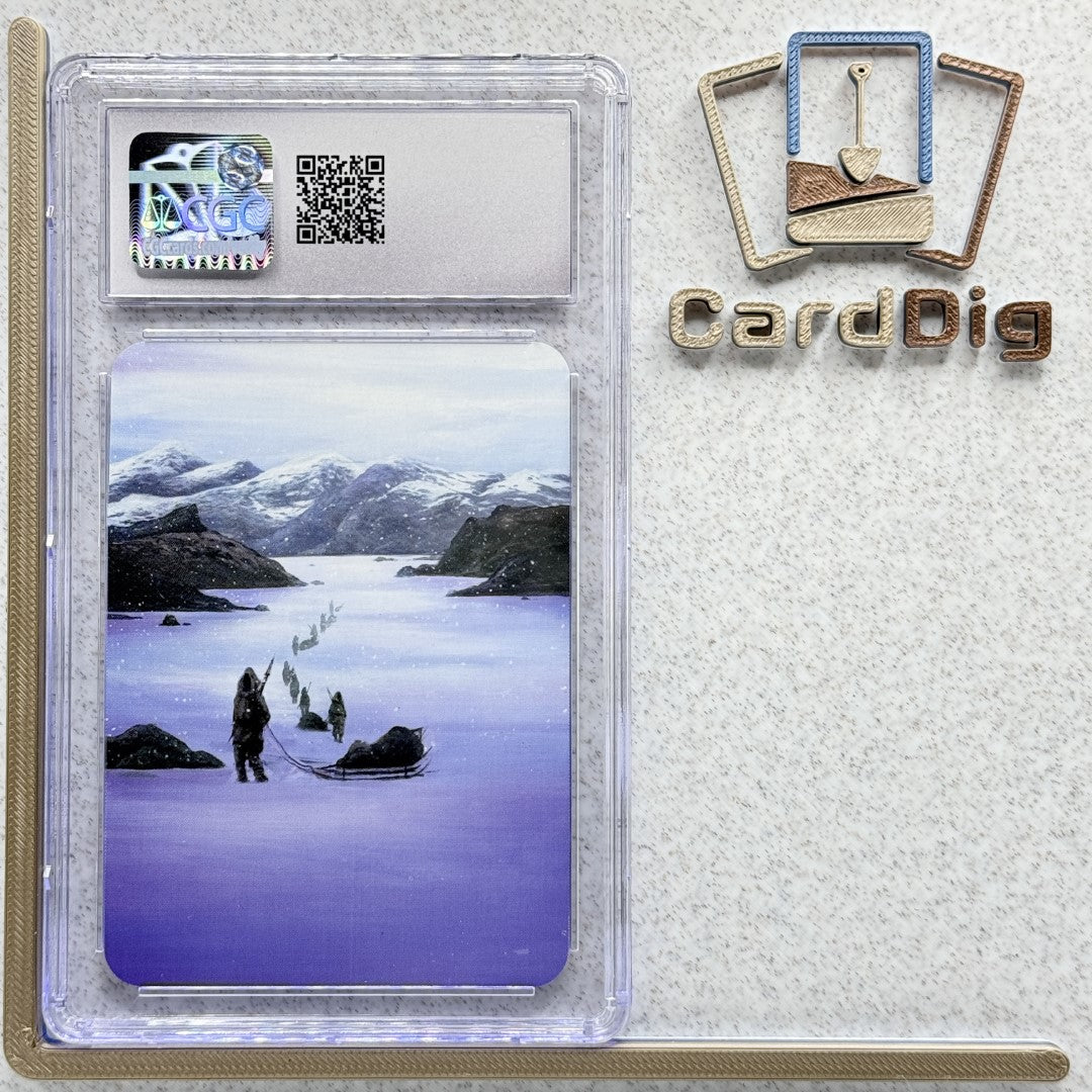 Polar Explorers  - Foil Graded (α Elite)