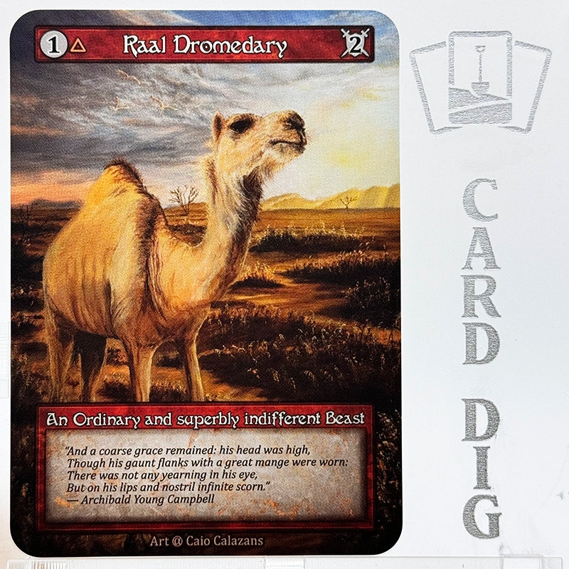 Raal Dromedary (α Ord)