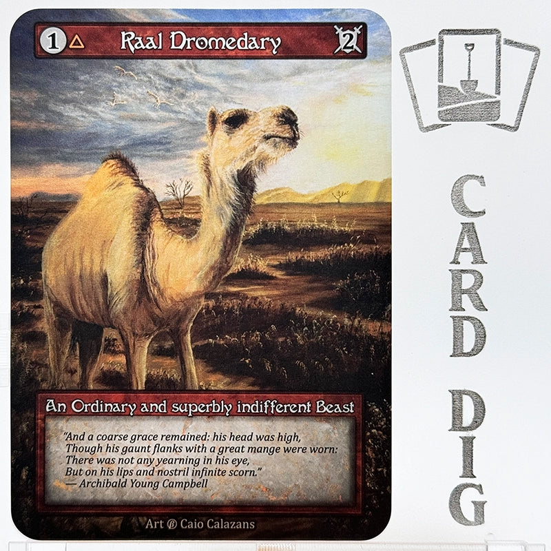 Raal Dromedary (β Ord)