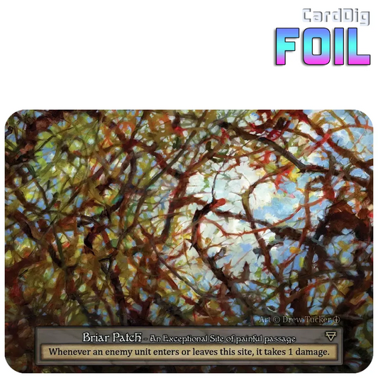Briar Patch - Foil (AL Exc)