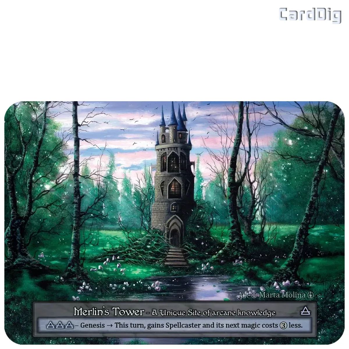 Merlins Tower (AL Unq)